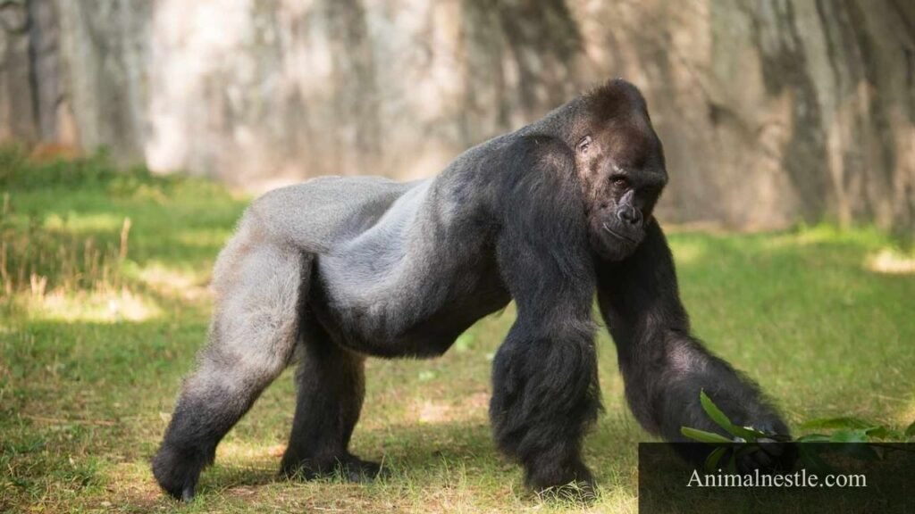 7 letter animals
