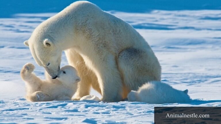animals that eat their young