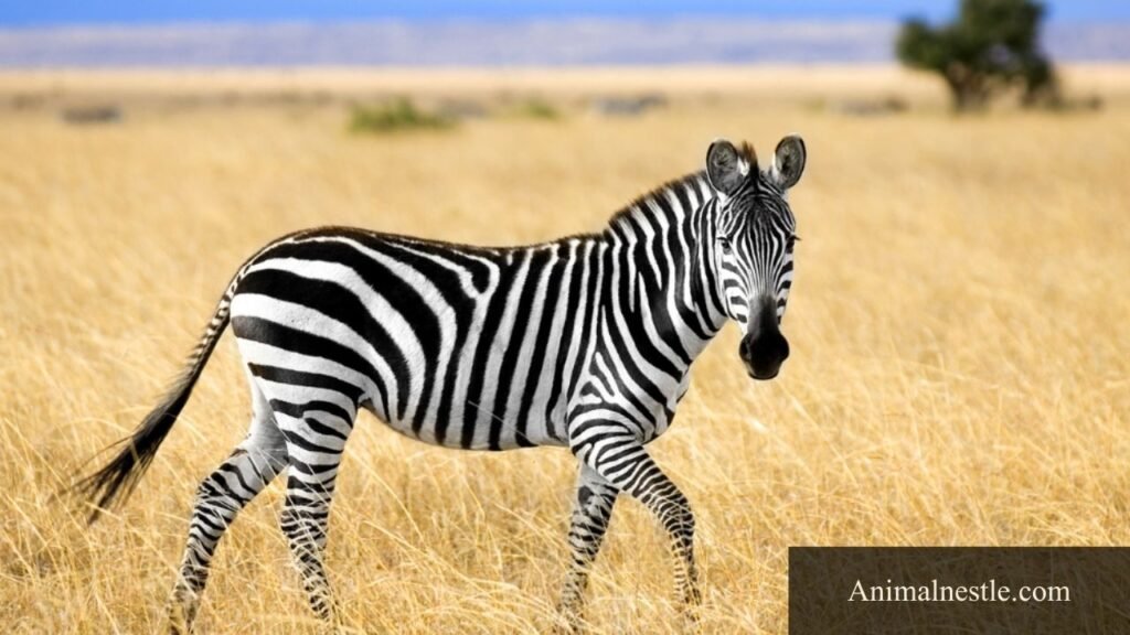 5 letter mammals